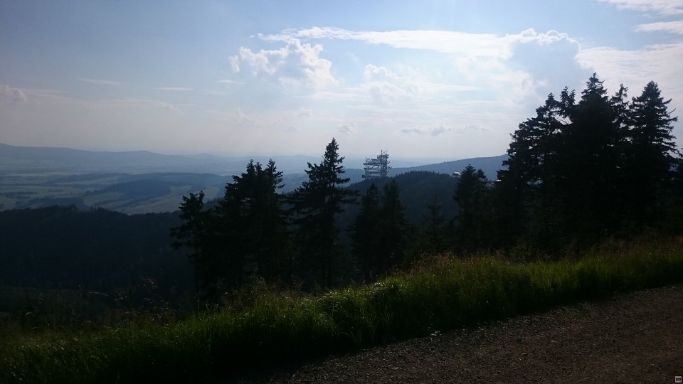 img00007.jpg