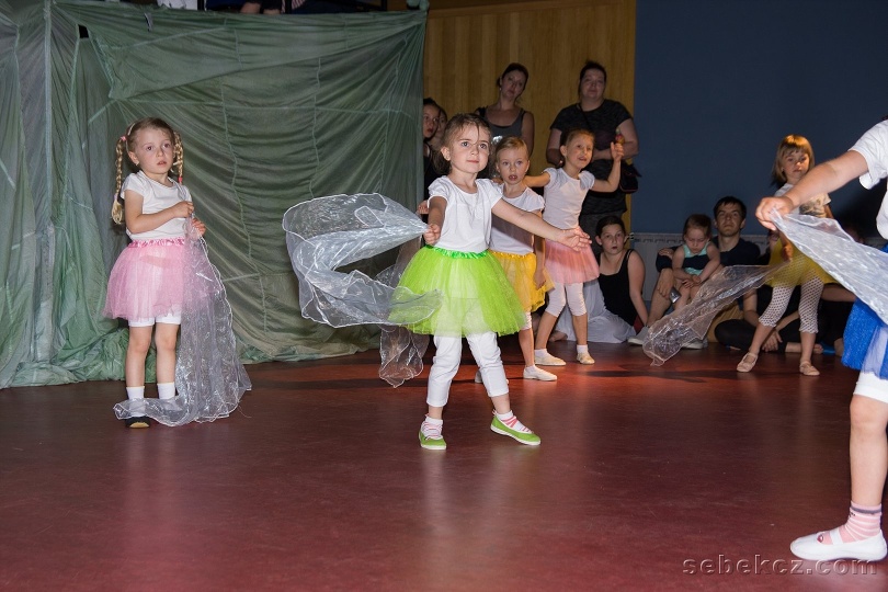 img_170605_8537_Tancovanky-vystoupeni-Mala-Scena.jpg