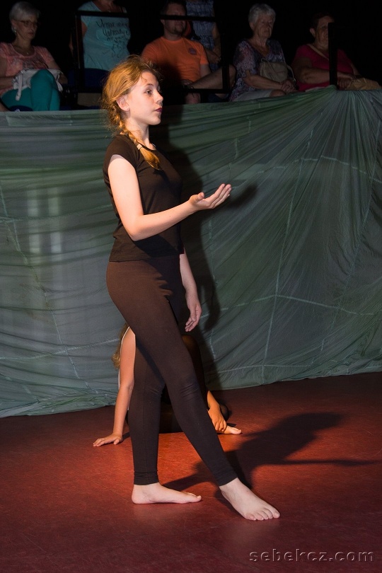 img_170605_8582_Tancovanky-vystoupeni-Mala-Scena.jpg